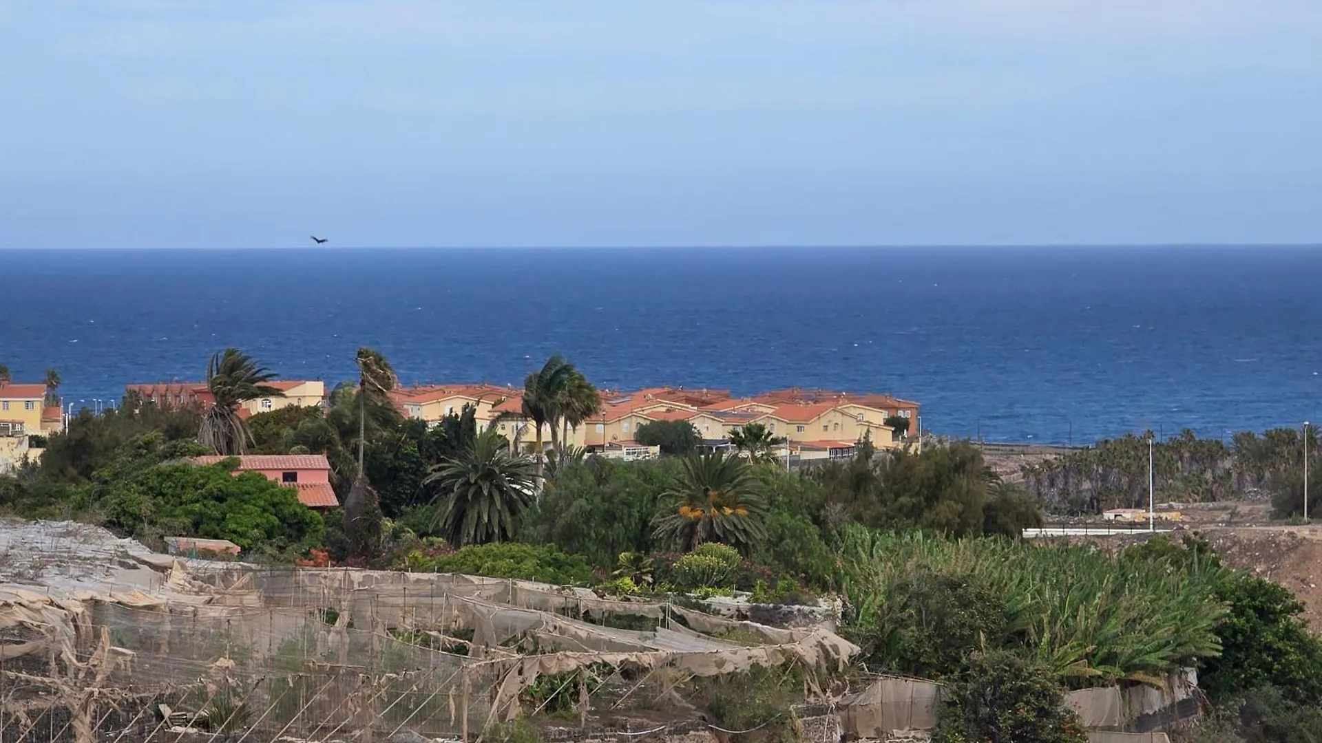 The Sealight Penthouse Apartment La Garita